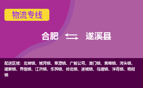 合肥到遂溪物流公司_合肥到遂溪物流专线_合肥至遂溪货运公司