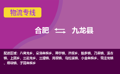 合肥到九龙物流公司_合肥到九龙物流专线_合肥至九龙货运公司